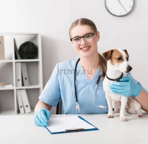 When to go to the vet without delay